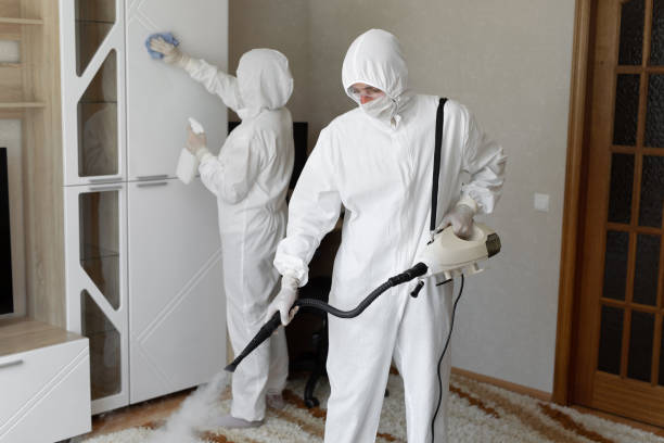 24/7 Emergency Odor Removal experts in Saint Libory, IL