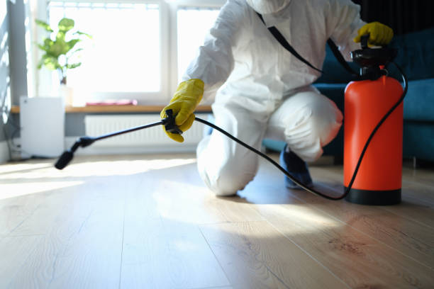 Reliable Odor Removal contractor in Saint Libory, IL by Dulley Family Biohazard Services